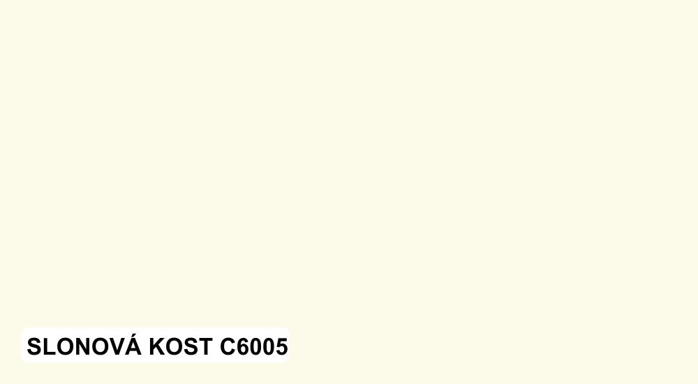 07_C6005_slon_kost.jpg